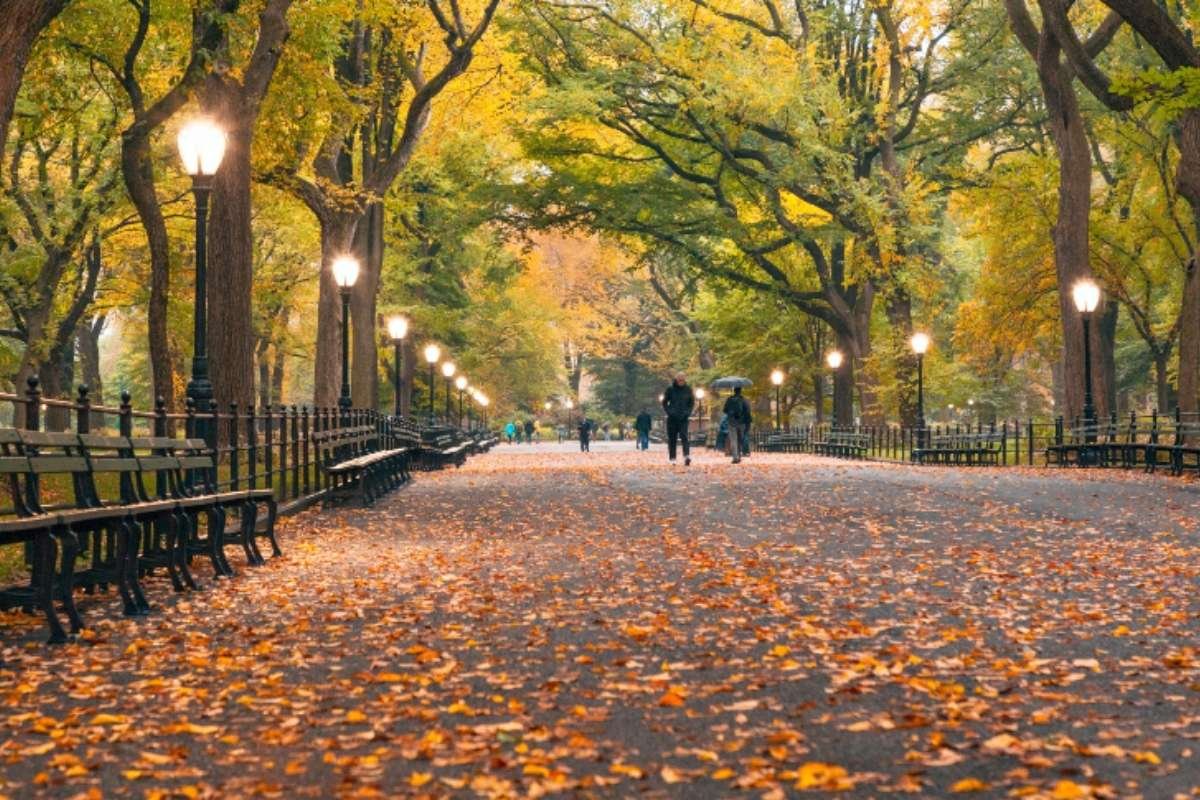 Top 8 Things to Do in New York City: Ultimate NYC Guide | NYC Business World