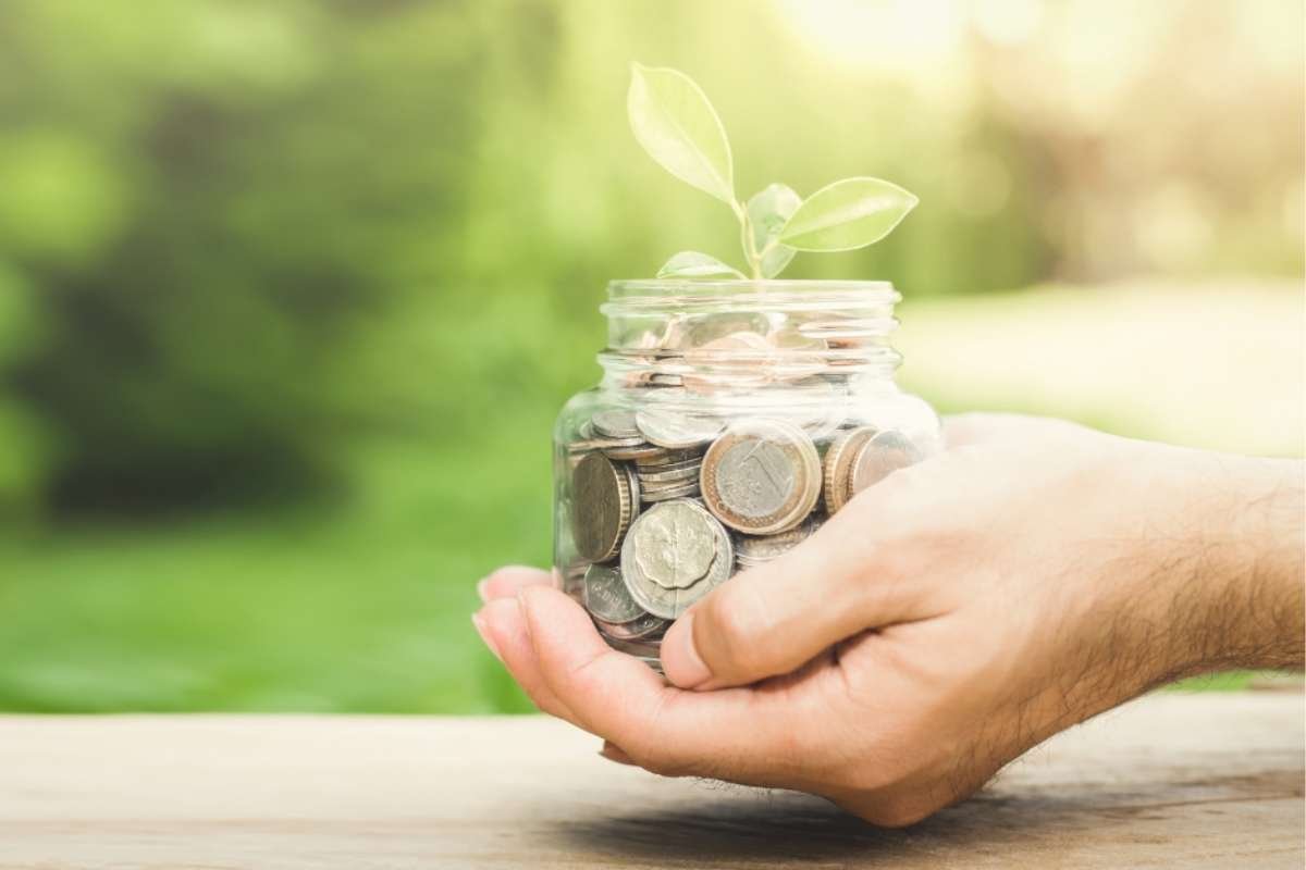 Unlocking the Potential of a Business Line of Credit: What You Need to Know | NYC Business World