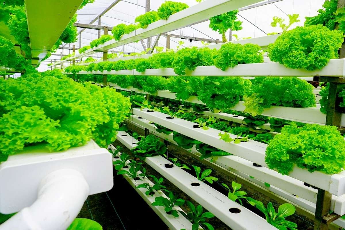 Top 10 Best Startups in NYC Leading Innovation and Growth | NYC Business World