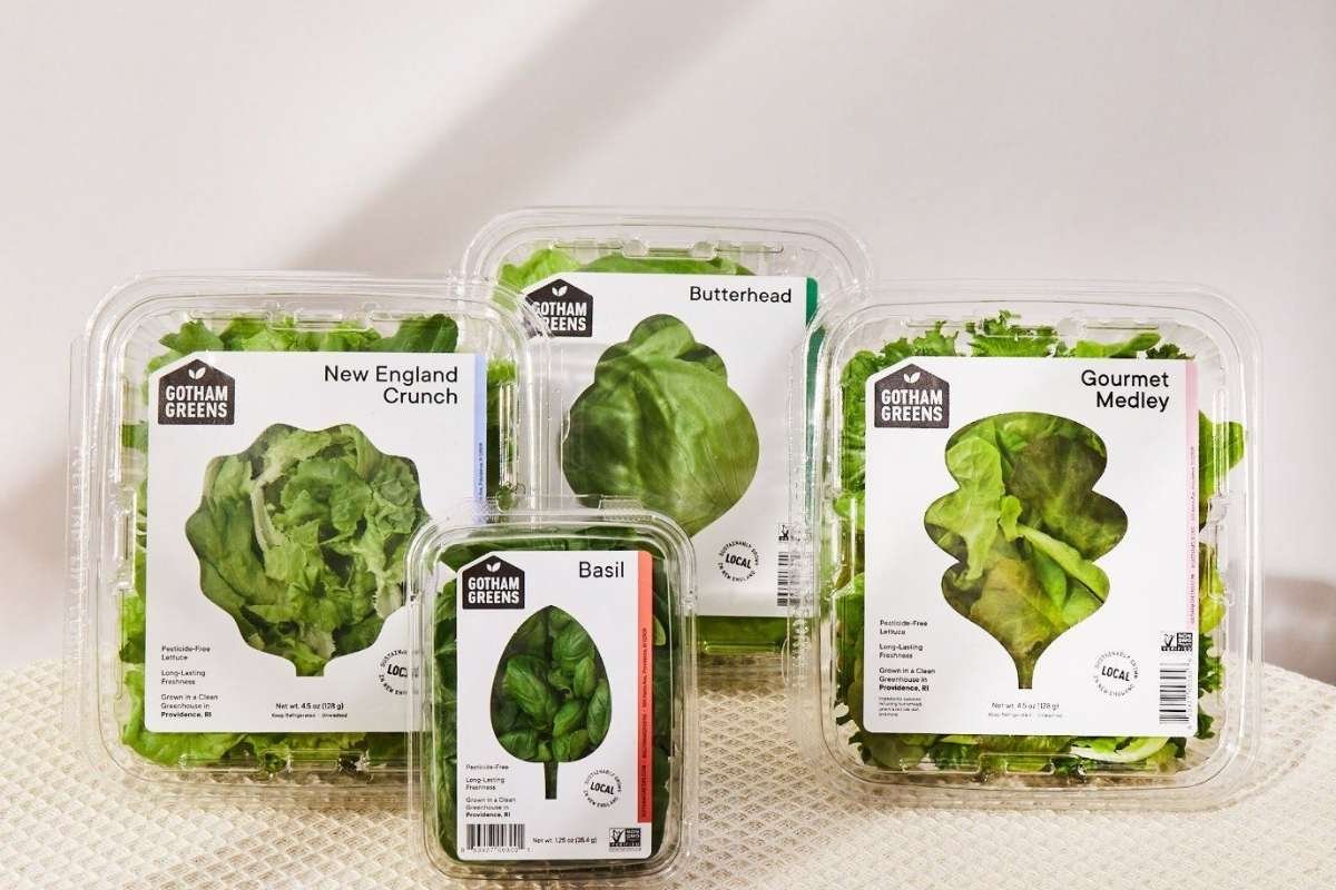 Food Startups in NYC: Shaping the Future of Culinary Innovation | NYC Business World