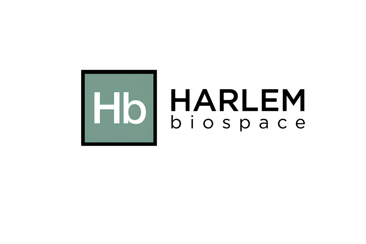 10 Best Business Incubators in New York City for Early-Stage Founders | NYC Business World