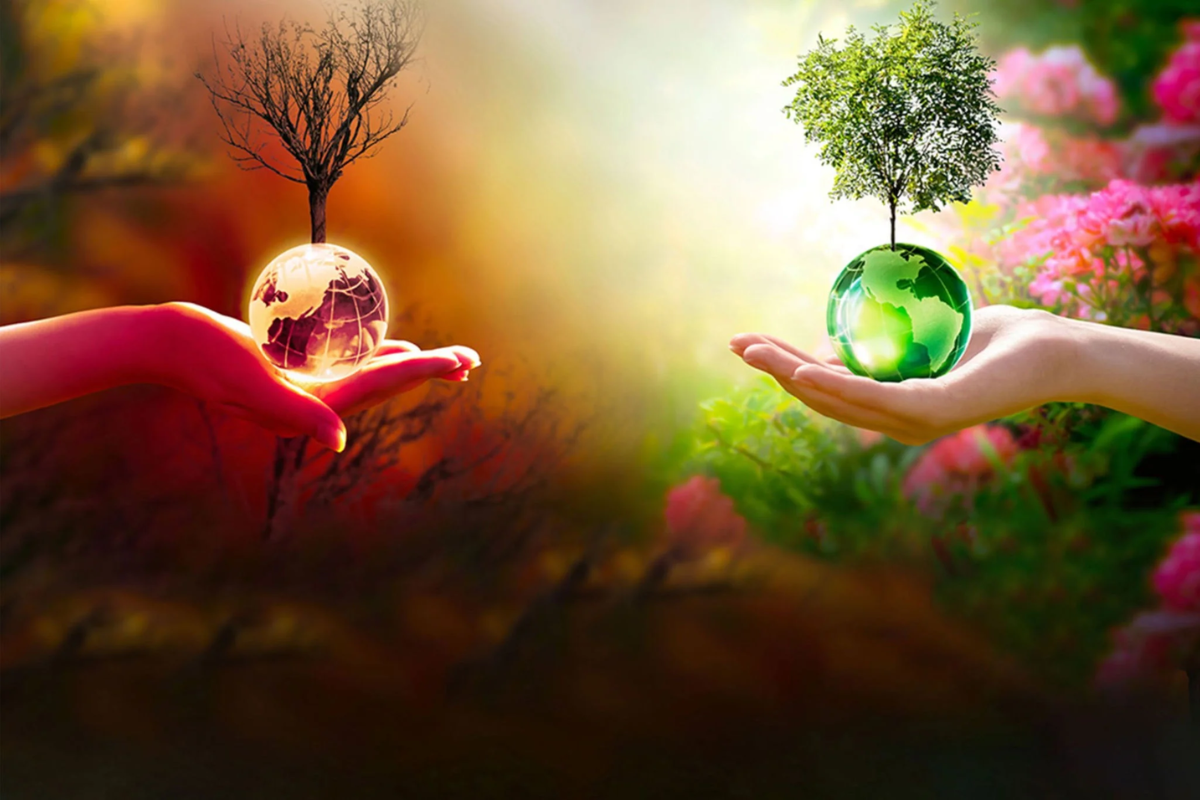 What Does Corporate Social Responsibility in NYC Mean for Businesses? | NYC Business World